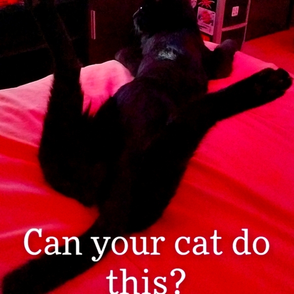 Clothing - Picture 1 of 12